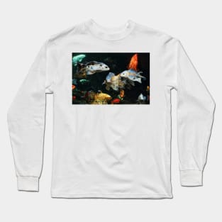 Koi Carp and Goldfish in Hands-on Pool in Besançon Citadel Long Sleeve T-Shirt
